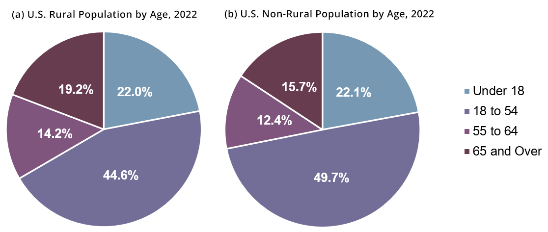 Figure 2. U.S. Rural and Non-Rural Population by Age in 2022