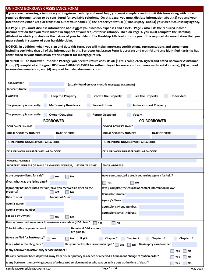 Uniform Borrower Assistance Form